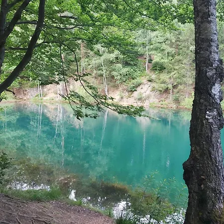 Dmi Grand Premium Kamienna Gora